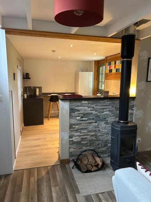Gite - Saint-Ellier-Du-Maine 外观 照片